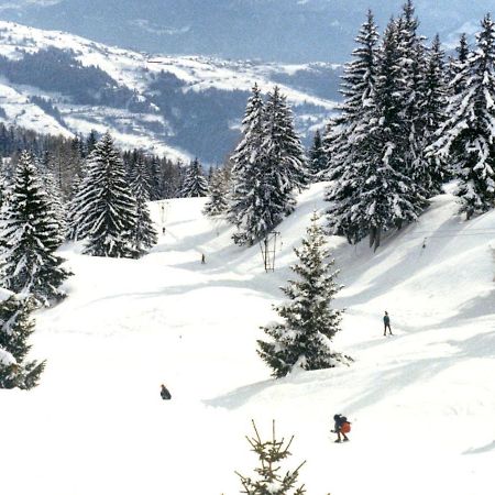 Woodland Village Anzere Ayent Eksteriør billede